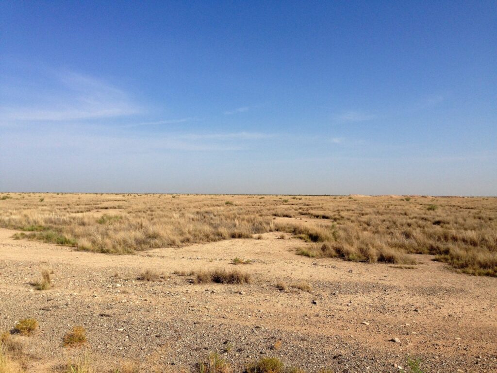 24.4 Acres County Road 124 Reeves County with a Salt Water Disposal Permit, Pecos, TX, Texas – photo 1 of 8