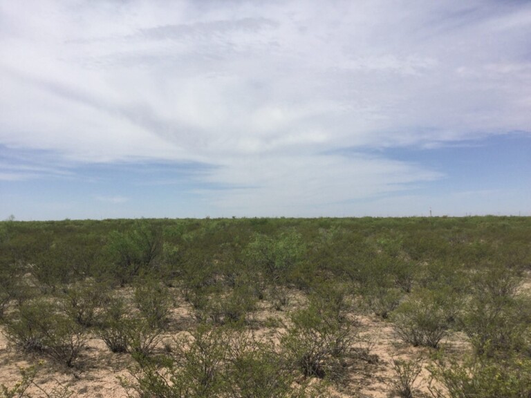 40 Acres Eastern Reeves County with a Salt Water Disposal Permit