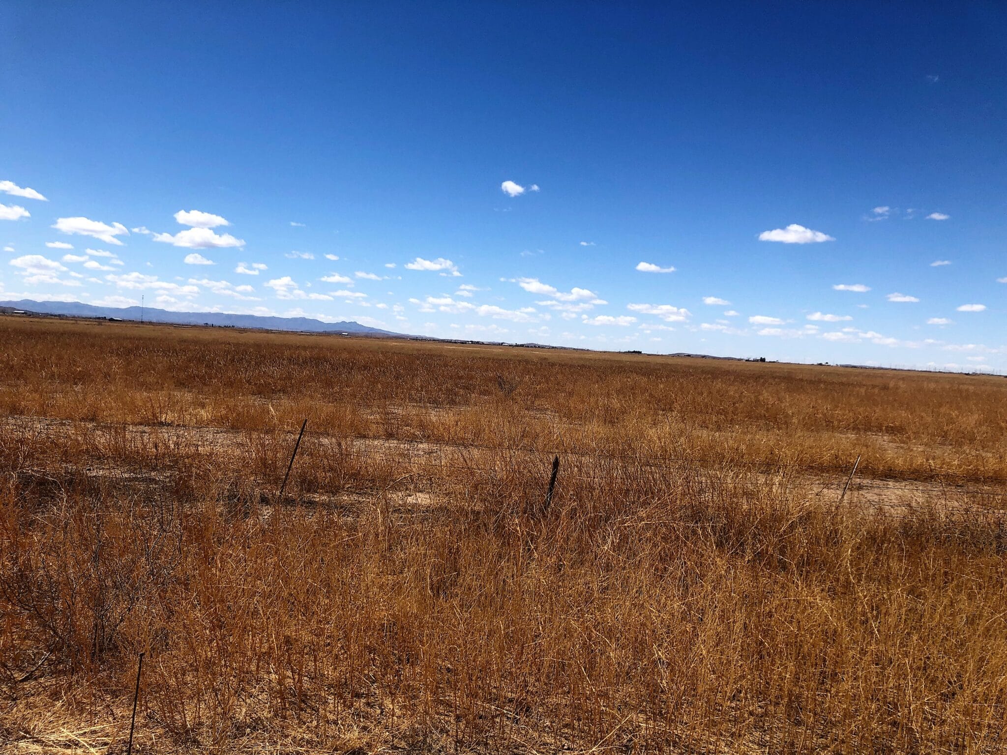 280 Acres Saragosa, Texas G5 Realty