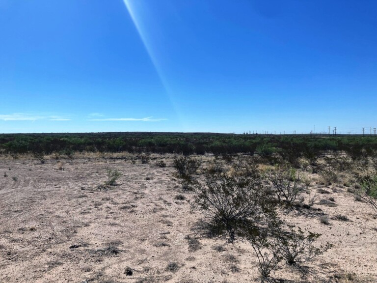 30.36 Acres Hwy 2355 Barstow, Ward County Texas