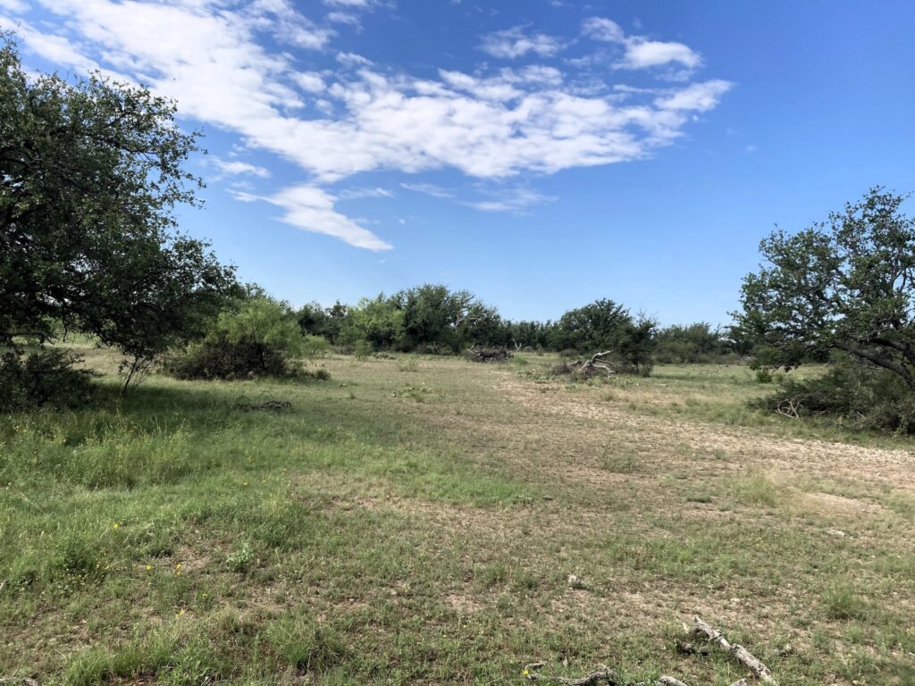 22 Acres Menard County with a Cabin, Menard, TX, Texas – photo 1 of 19