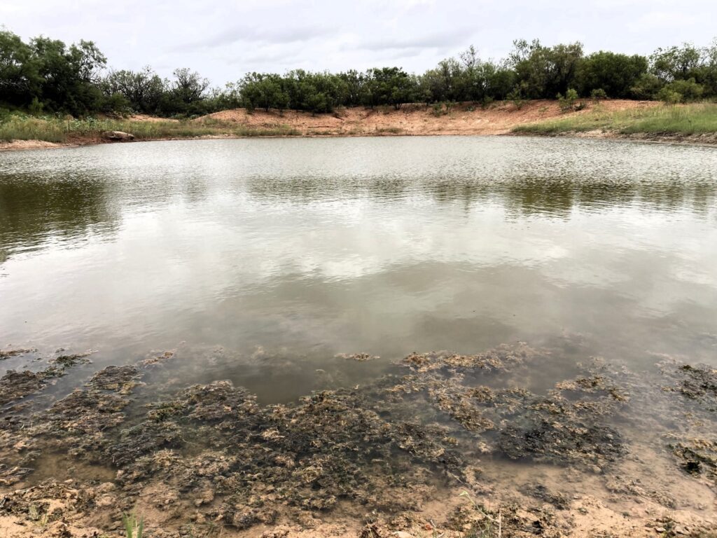 162.75 Acres Norton, Runnels County, TX, Norton, TX, Texas – photo 1 of 17