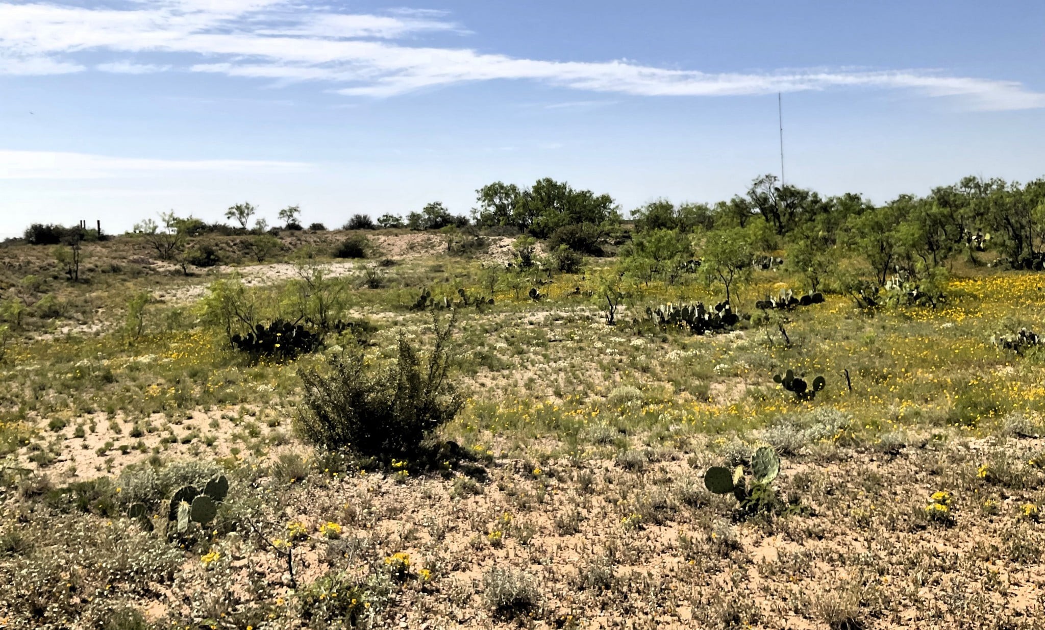 607 Acres Hwy 208 Mitchell County, Texas
