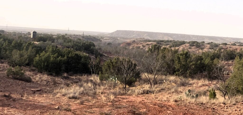 Double D 150 Acres Howard County, Texas, Forsan, TX, Texas – photo 1 of 20