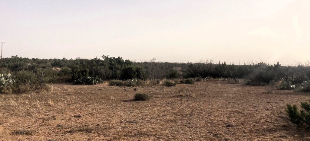 Double D 150 Acres Howard County, Texas, Forsan, TX, Texas – photo 11 of 20