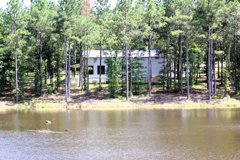 136 Acre Wood County Gem