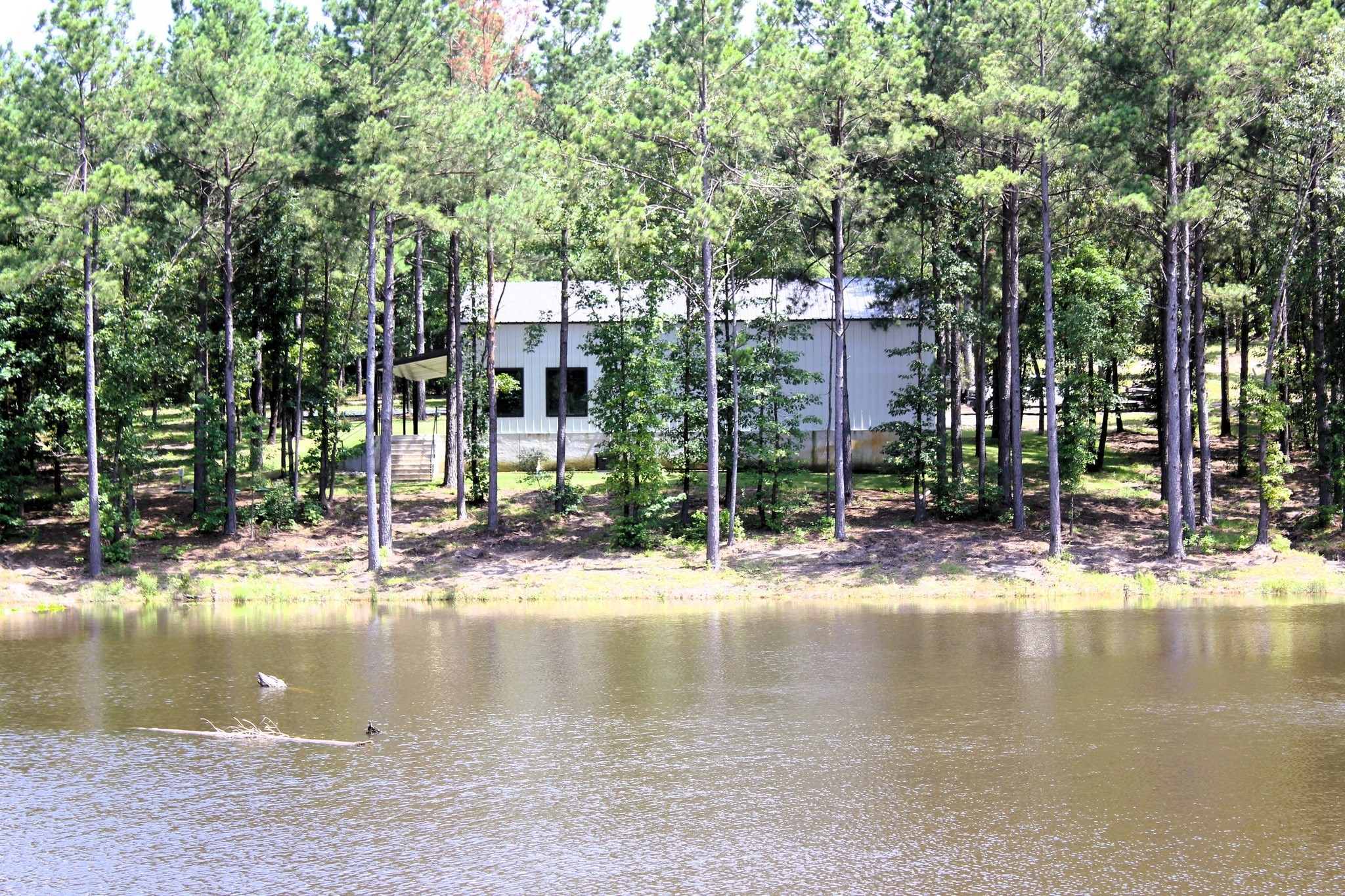136 Acre Wood County Gem