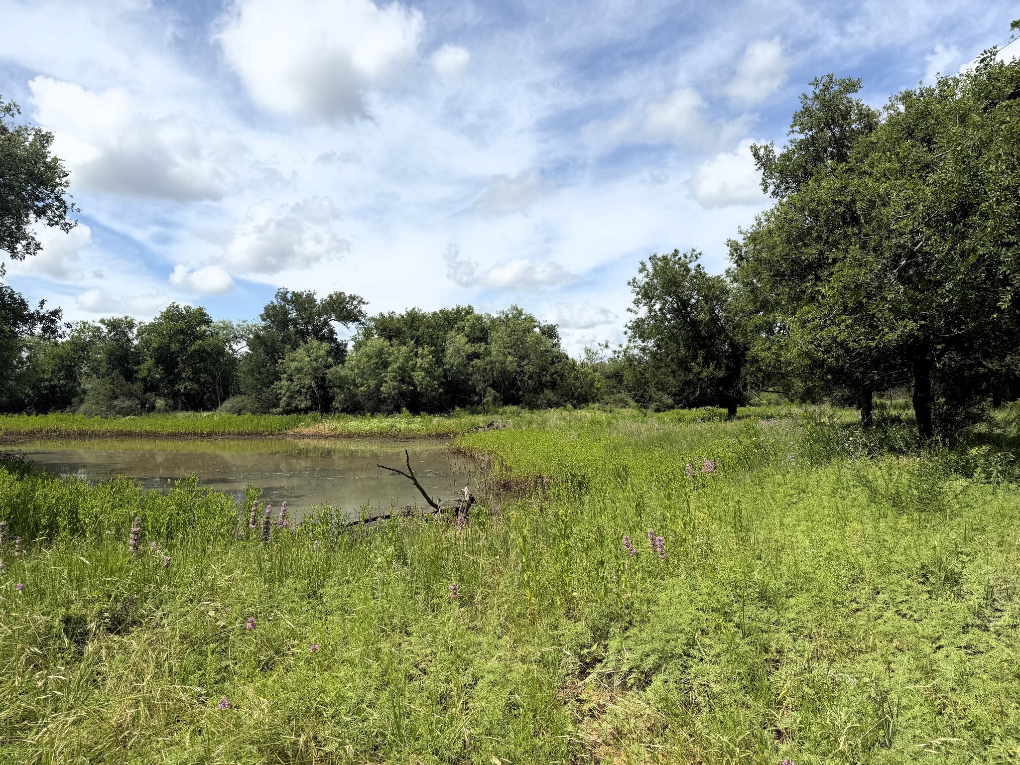 Wildcat Creek 610