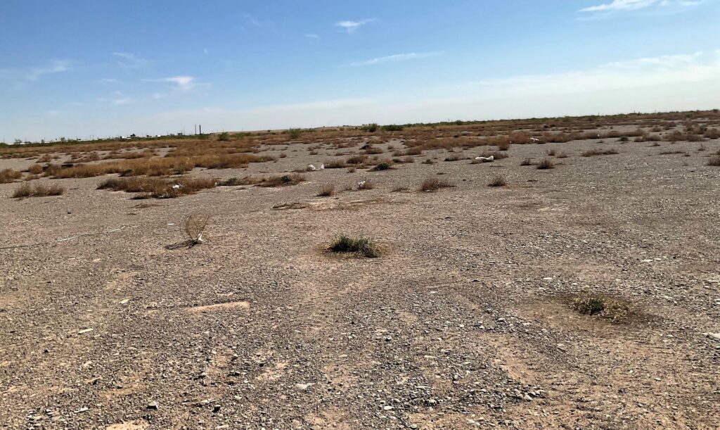 HCF 575 Acres Blk 4 Sec 81, Pecos, Texas – photo 1 of 15