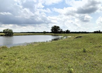 Brook Paysee - Kosse Image00009