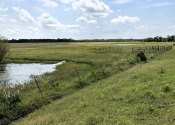 Brook Paysee - Kosse Image00017