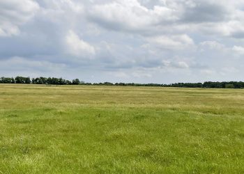 Brook Paysee - Kosse Image00023