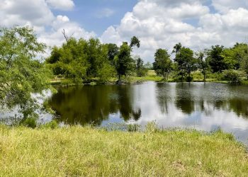 Brook Paysee - Kosse Image00027