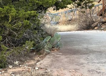 Chancellor-Crowley Image00004