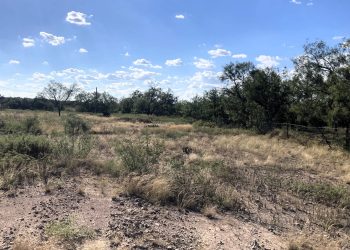 Cuellar Image00005