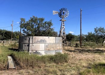 Cuellar Image00008