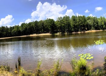 Pro Water Image00020