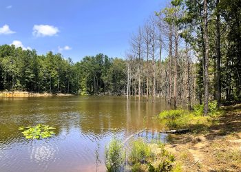 Pro Water Image00021