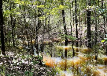 Pro Water Image00029