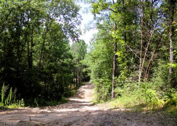 Pro Water Image00058