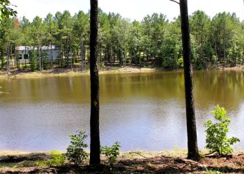 Pro Water Image00066