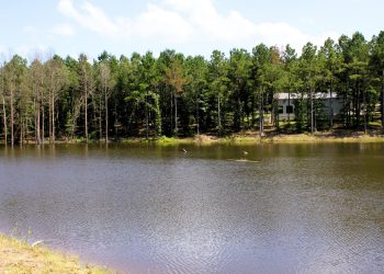 Pro Water Image00068