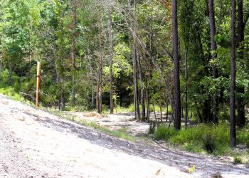 Pro Water Image00071