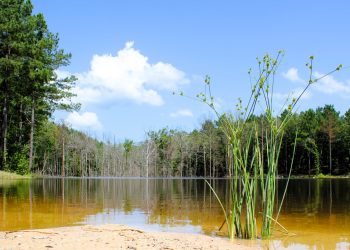 Pro Water Image00074