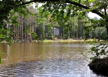 Pro Water Image00076