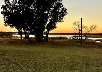 Springfield Image00004