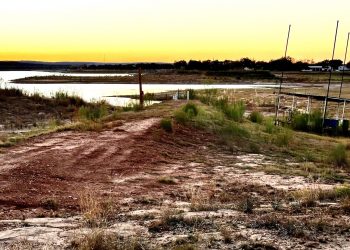 Springfield Image00005