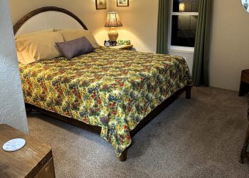 Springfield Image00020